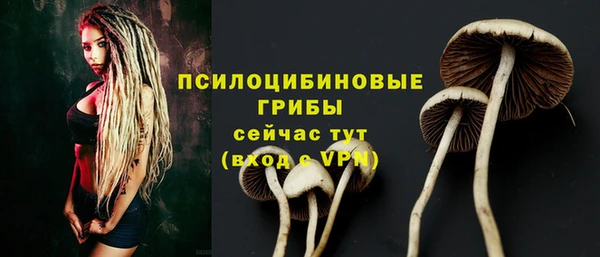 гашик Магас