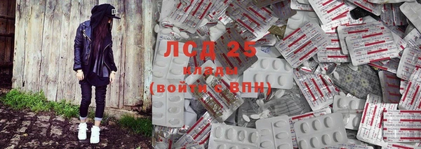 ПСИЛОЦИБИНОВЫЕ ГРИБЫ Медвежьегорск