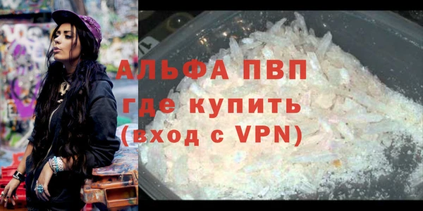 гашик Магас