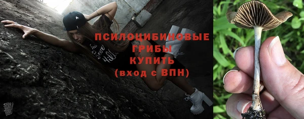 молекула духа Магадан