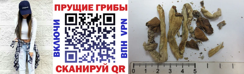 магазин продажи   mega зеркало  Галлюциногенные грибы мухоморы  Вичуга 