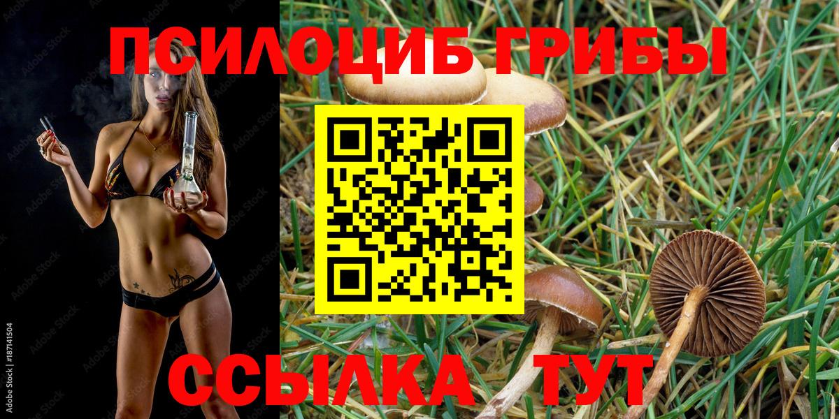 Псилоцибиновые грибы мухоморы Вичуга