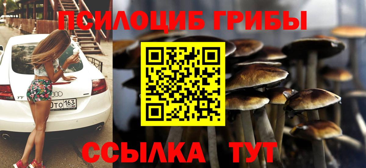 Вичуга  Псилоцибиновые грибы Magic Shrooms  даркнет сайт  Вход с VPN  Псилоцибиновые грибы MAGIC MUSHROOMS 