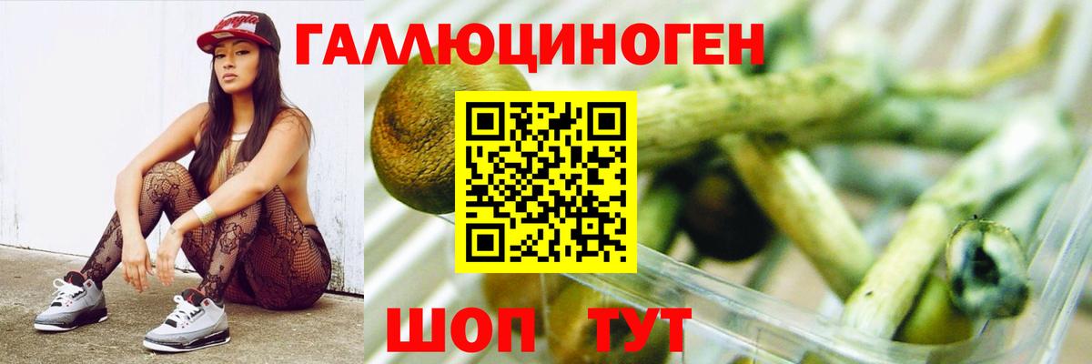 Галлюциногенные грибы Psilocybe Вичуга